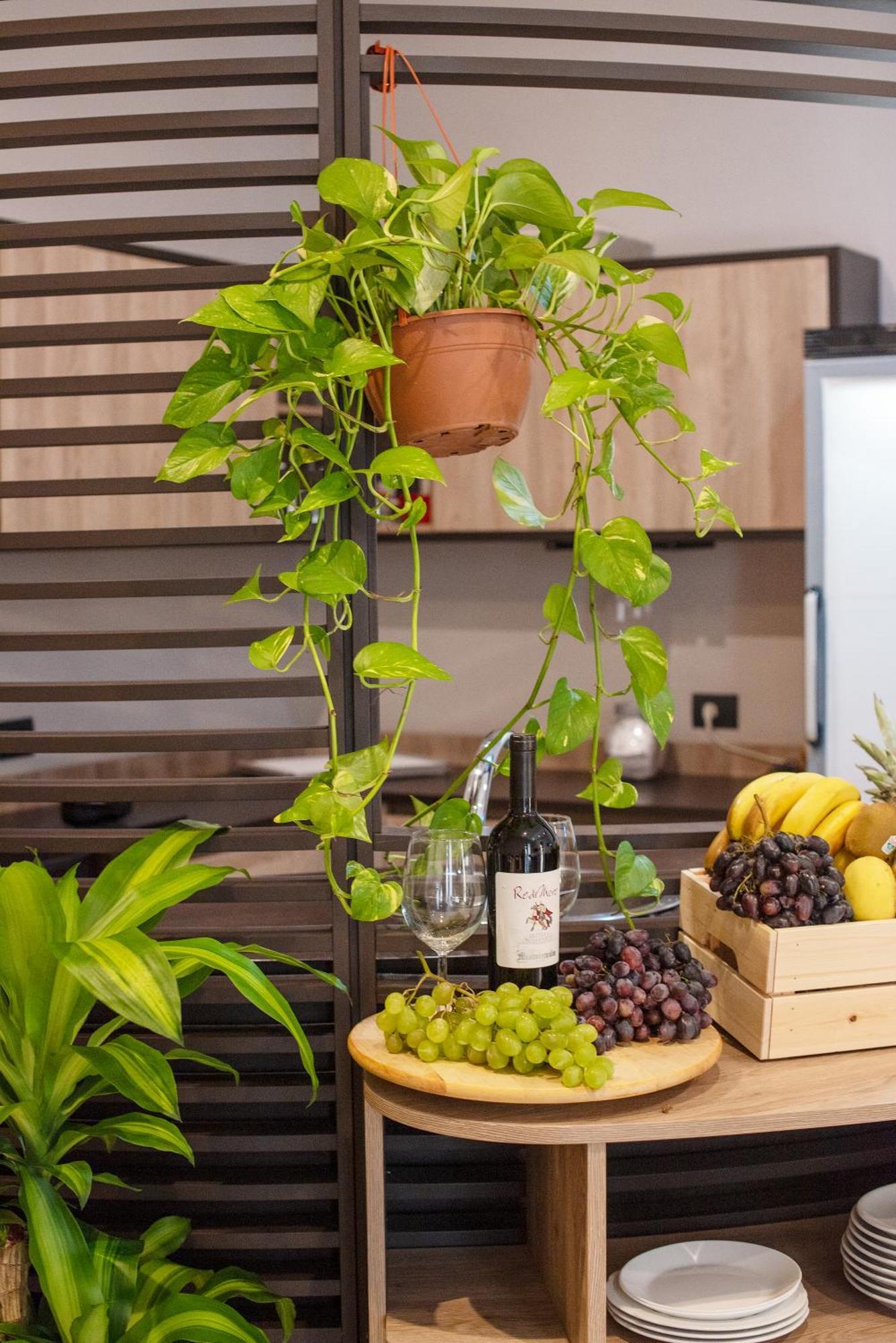 مبيت وإفطار Neapolis Lifestyle المظهر الخارجي الصورة